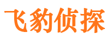 喜德市调查公司